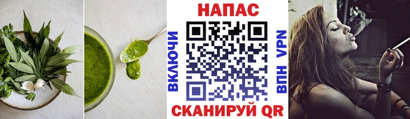 Cannafood конопля Каменногорск