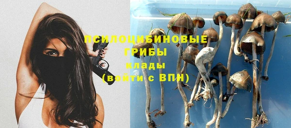 сатива Абдулино