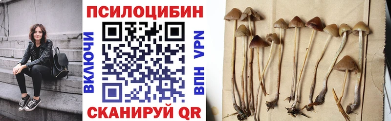 Псилоцибиновые грибы прущие грибы  Каменногорск 
